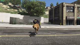 Elanip Escapes Cops on Deer | GTA 5 Roleplay