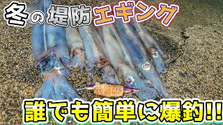 【エギング】冬の堤防でヤリイカ爆釣‼︎素人でもおすすめ簡単☆