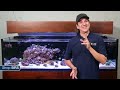 Week 48 Keep algae out of your reef tank FOREVER! | 52 Weeks of Reefing