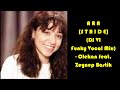 ARA [STRIDE] (DJ VI Funky Vocal Mix) - Clekan feat. Zeynep Bastik