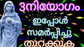 നിന്നെ വേദനിപ്പിച്ചവരുടെ മുമ്പിൽ നീ തലയുയർത്തി നിൽക്കുന്ന നിമിഷം കൃപാസാനാ അമ്മയുടെഅത്ഭുതം തുന്നാൽ