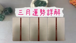 【觀音靈籤】三月運勢詳解，有什麽值得期待的事？哪方面需要特别注意  |塔羅占卜|運勢|好消息|驚喜|事業|愛情|