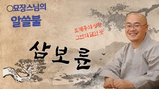 [알쓸불] 묘장스님의 알쓸불, 대한불교조계종 로고- 삼보륜