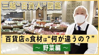 【野菜編】百貨店の食材は何が違うの？八百屋 室町万屋に密着！