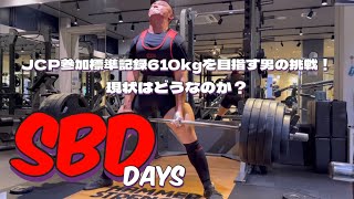 SBD Days！ふるぽんパワー！JCP参加標準610kgを目指す！現状は？#広島 #big3 #スクワット #ベンチプレス #デッドリフト #workout