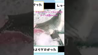 シャチの「殺し屋コンビ」が南アのホオジロザメを次々と狩りまくっている #2ch動物スレ #ゆっくり解説 #shorts