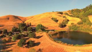 3200 Nicasio Valley Rd.