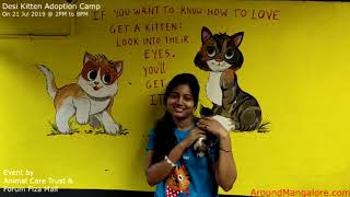 Desi Kitten Adoption Camp - 21 Jul 2019 - Animal Care Trust - Forum Fiza Mall, Pandeshwar, Mangalore