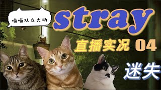 04完结 黑桐谷歌【迷失Stray】通關視頻直播實況｜喵喵隊立大功！ 「我就是那隻天選小貓咪！」｜橘貓歷險記