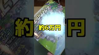 1袋15万円の謎のポケカ福袋？買って開けてみた結果がヤバいww＃ポケモン