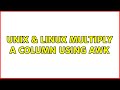 Unix & Linux: Multiply a column using awk (2 Solutions!!)