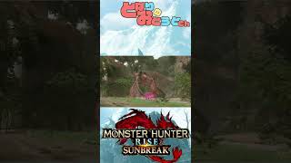 ヌシリオレイアってかっこいいよね【モンハン】【モンハンライズ】【サンブレイク】【Monster Hunter SunBreak】【となおとCh】#Shorts