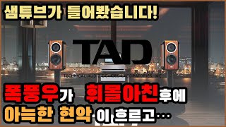 TAD의 사운드를 응축한 광대역 컴팩트 모니터 ME1-S의 가공할 사운드!