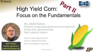 High Yield Corn: Focus on the Fundamentals / Part 2