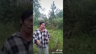 不要再來傷害我 cover 戀小薇