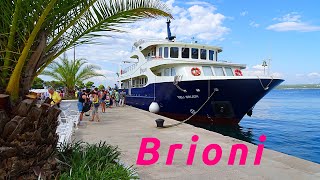 Brodom od Fažane 🚢 do Brijuna ☀ Istra 🇭🇷 Hrvatska