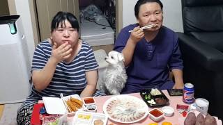 복부인 여보 모듬회 너무 맛있다~ 짬뽕 짜장면 먹방 mukbang