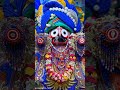 ସିଂହ ଦ୍ୱାରୁ ତୁ ଦର୍ଶନ ଦବୁ jaganatha vajana shots partha k vlog