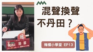 EP13 學唱歌｜歌唱教學｜混聲，換聲區，不用丹田新概念｜歌唱技術理念重中之重｜梅楣小學堂【EP13】