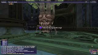 FFXI Retail - Nyzul Isle Floors 11-15