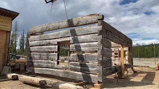 Reclaimed Log Cabin is set back up #reclaimedwood #oldlogcabin #restoration #handhewn #dovetail #log