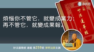 259煩惱你不管它，就變成業力；再不管它，就變成果報【淨界法師開示】