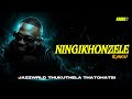 JAZZWRLD, Thukuthela & Thatohatsi - Ningikhonzele (Lyrics)