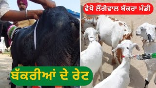 Longowal bakra Mandi live || Goat 🐐 price ਵੇਖੋ ਬੱਕਰੀਆਂ ਖਰੀਦਣ ਲਈ ਧਿਆਨ ਦੇਣ ਵਾਲੀਆ ਗੱਲਾ Goat farming