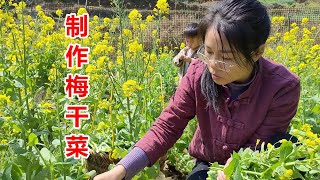 菜園裡菜心太多，跟婆婆在家製作黴菜乾，經過三蒸三曬，太好吃了【農人家三嫂】