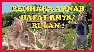 CARA BUAT DUIT RM7,000 Per Bulan Dengan Bela Arnab di Halaman Rumah Jer ?