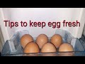 How to keep eggs fresh for longer days