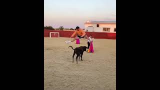 Logan Paul jumps over a charging bull