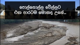 වතුර හිස් වෙච්ච මහවැලිය | Mahaweli river without water | polgolla dam