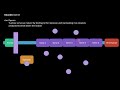 ap biology unit 6 gene regulation and expression complete reveiw