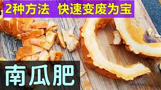 南瓜快速做肥料, 一种材料2种方法, 废物利用 Easy and rapid pumpkin composting/fertilizer