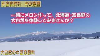 寺坂農園からの絶景・自然の中で働いみませんか？【北海道・農業・求人・寺坂農園・メロン・アルバイト・パート・大自然・アウトドア】