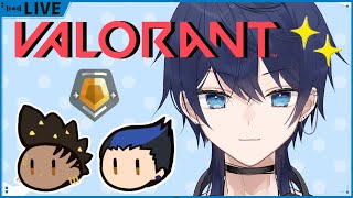 【valorant/solo】よしゃ！ソロコンペいくぞ〜！！ヨル・アストラ G2〜【新人Vtuber】