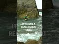 Sea kayak self rescues - Legs