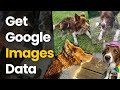 How to Scrape Google Images: Step-by-Step Guide