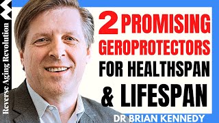 AKG \u0026 Gemfibrozil - 2 Promising Geroprotectors For Slowing Aging | Dr Brian Kennedy Interview Clips