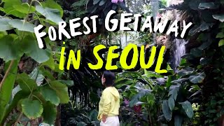 Travel Seoul, Korea with me🇰🇷 Forest Getaway to Seoul Botanic Park ✨