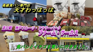 天才わっはっは＆道の駅 神戸フルーツ・フラワーパーク ファーム・サーカスへ食パンとイチゴを買いに行きました。