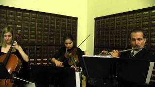 Los Angeles String Trio- Classical LA Wedding and Corporate Entertainment Musicians