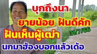 โค้งสุดท้าย ยายน้อยฝันดีคัก ฝันเห็นผู้เฒ่า นกมาฮ้องบอกแล้ว 31/7/66