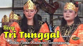 REOG PUTRI....TRI TUNGGAL||MERTI DUSUN||DELEN TLETER KALORAN TEMANGGUNG