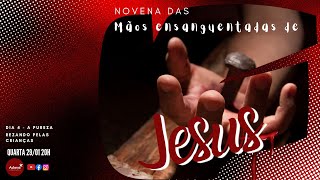 Dia 4: Novena das Mãos Ensanguentadas de Jesus - A Pureza