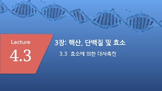 Lecture_4_3_일반생물1_CBNU_2020_1