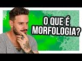 MORFOLOGIA - Pablo Jamilk