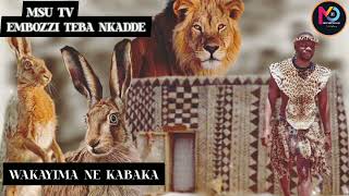 OLUGEERO LWA WAKAYIMA NE KABAKA ( Hare \u0026 The King Part 2 ) African Folktale.