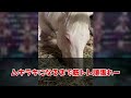 【すあま報】グネラキは○○だったとバラされてしまう…に対するみんなの反応！【競馬 の反応集】